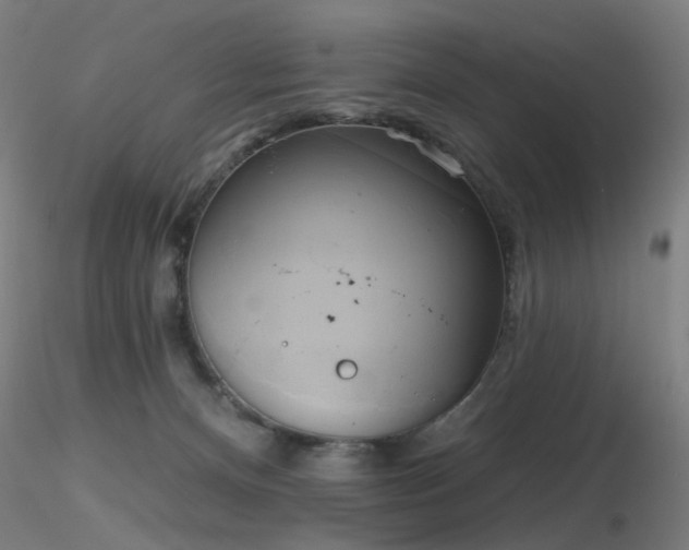 X0000116830128200912181443