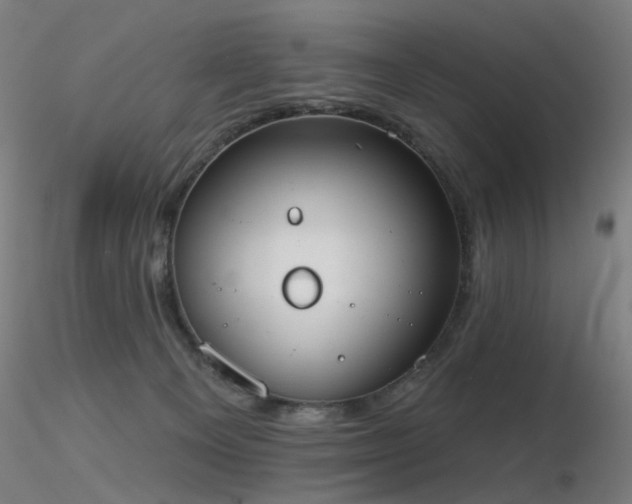 X0000116830129200912181443