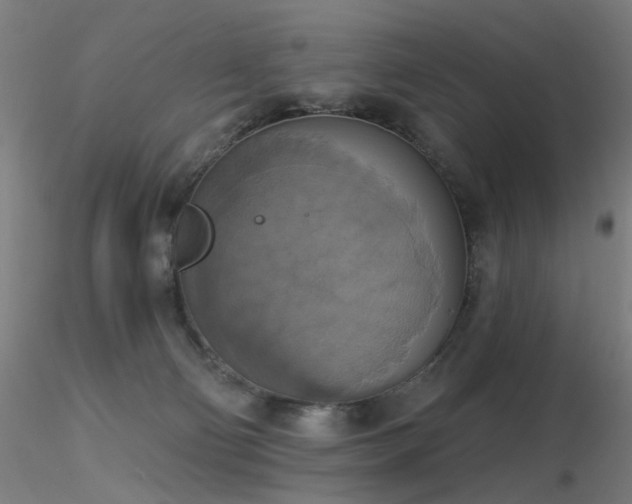 X0000116830130200912181443