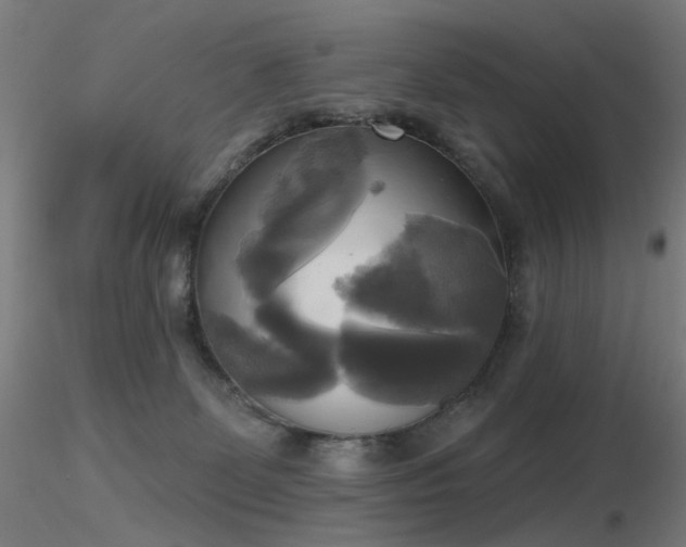X0000116830131200912181443