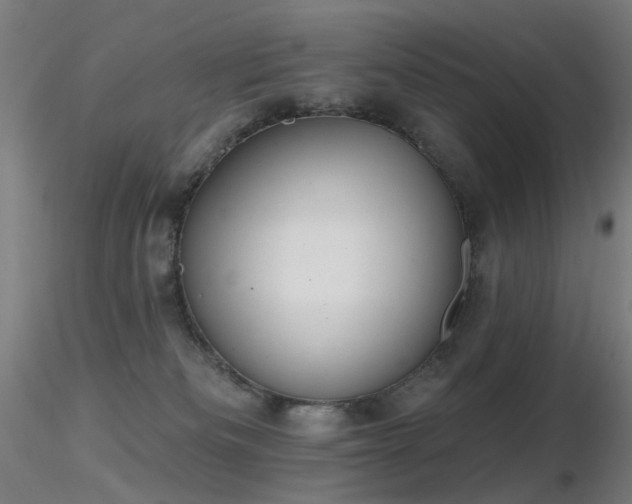 X0000116830133200912181443