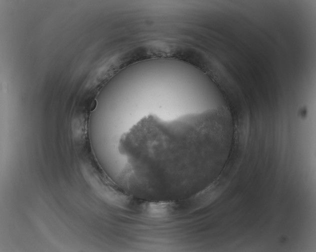 X0000116830134200912181443