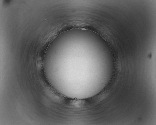 X0000116830135200912181443