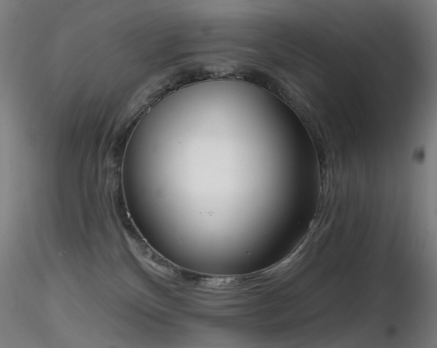 X0000116830136200912181443