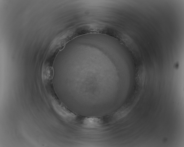 X0000116830137200912181443