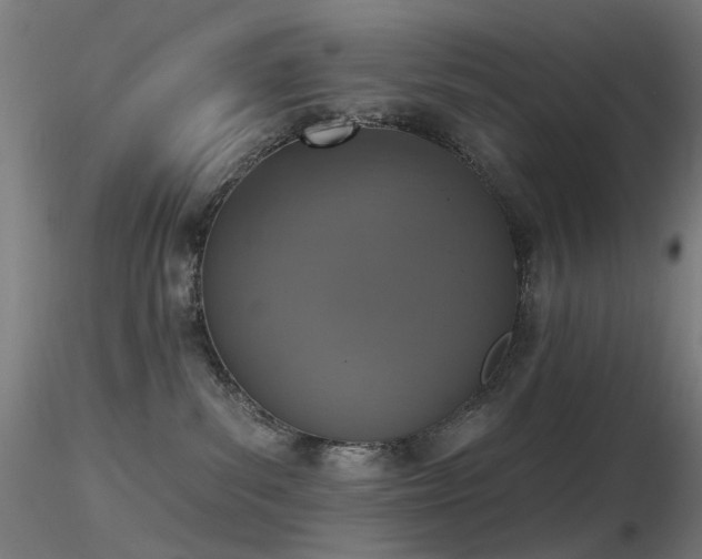 X0000116830139200912181443