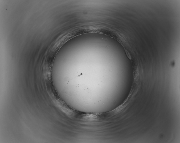 X0000116830140200912181443