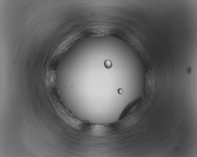 X0000116830141200912181443