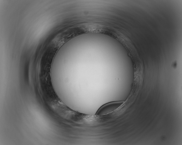 X0000116830142200912181443