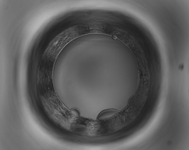 X0000116830143200912181443