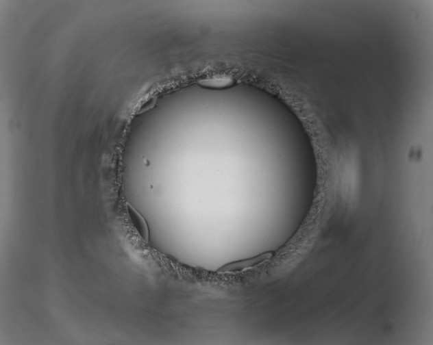 X0000116830144200912181443