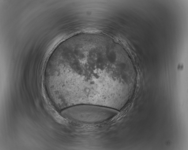 X0000116830145200912181442