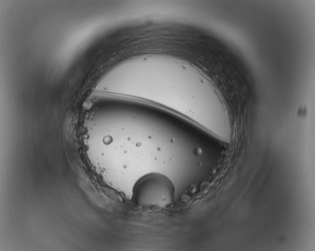 X0000116830146200912181442