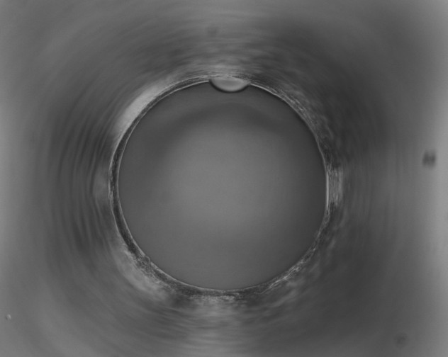 X0000116830147200912181442