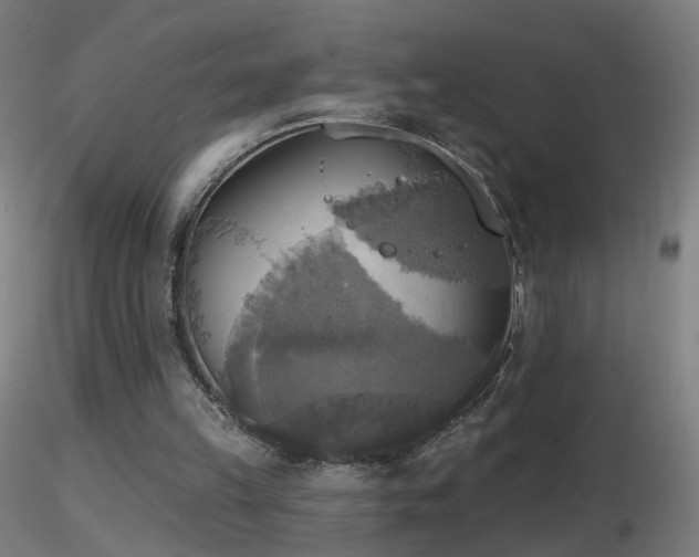X0000116830149200912181442