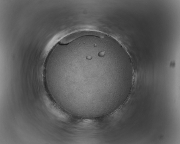 X0000116830151200912181442