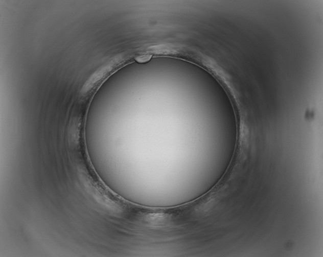 X0000116830153200912181442