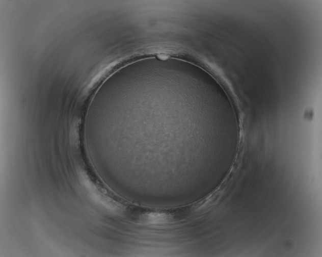 X0000116830154200912181442