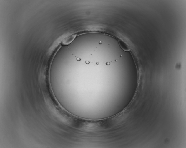 X0000116830155200912181442