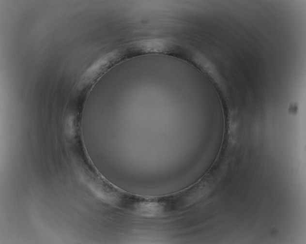 X0000116830161200912181442