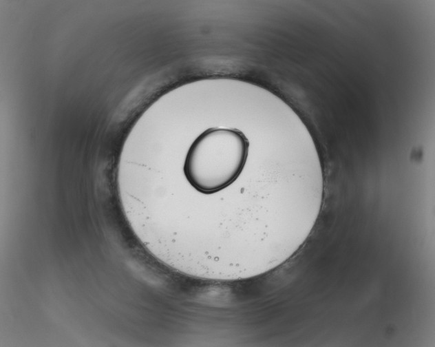 X0000116830162200912181442