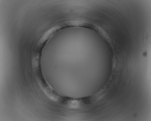 X0000116830163200912181442