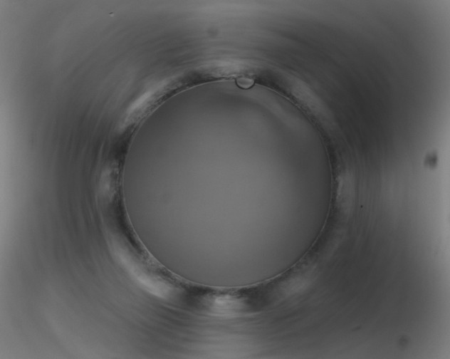 X0000116830165200912181442