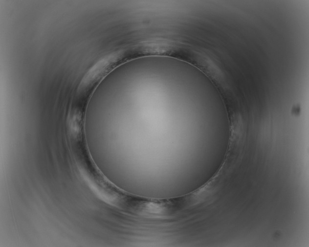 X0000116830166200912181442