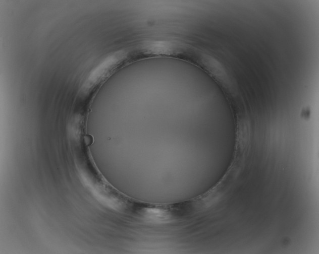 X0000116830167200912181442