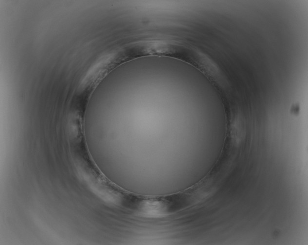 X0000116830169200912181442