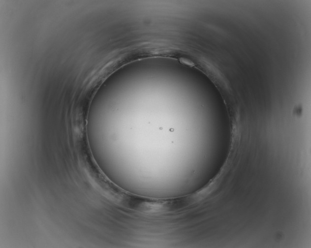 X0000116830170200912181442