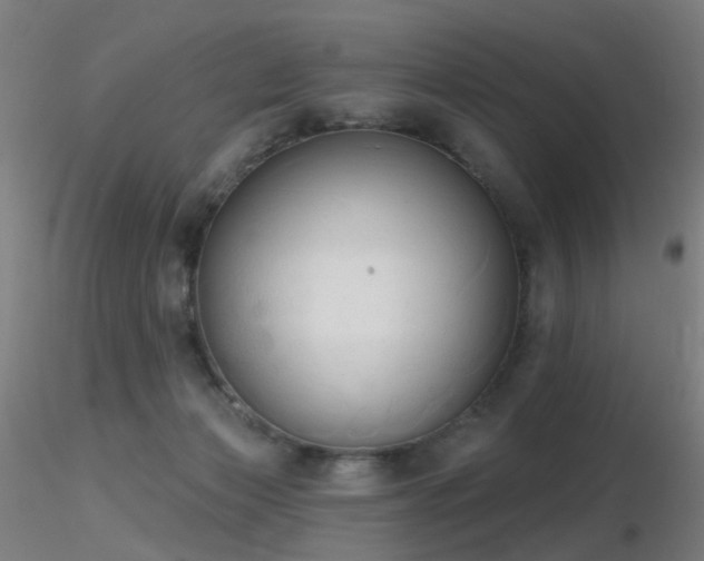 X0000116830173200912181443
