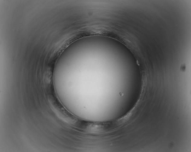X0000116830174200912181443