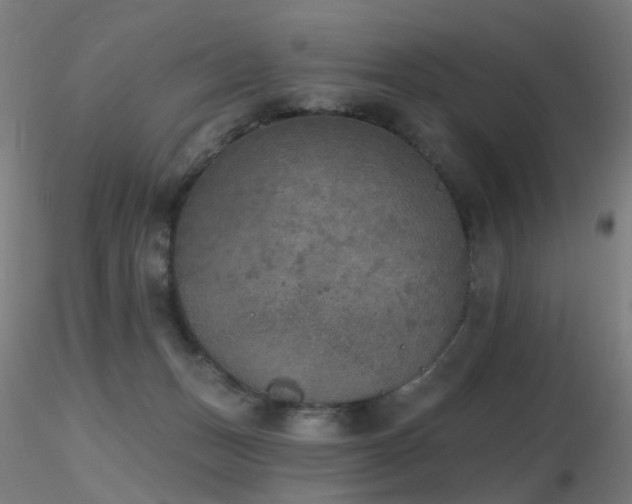 X0000116830175200912181443