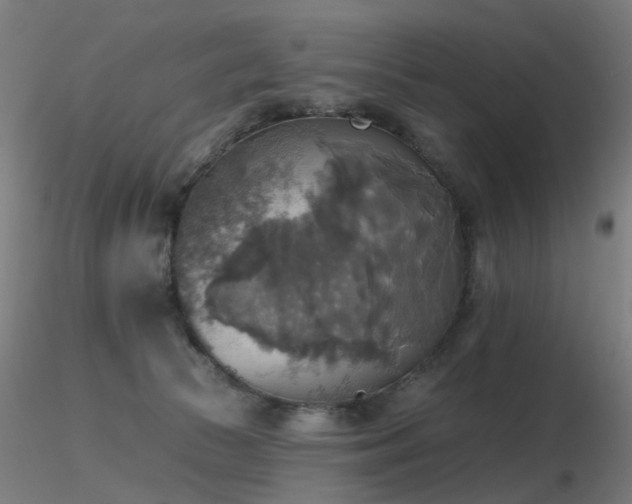 X0000116830177200912181443