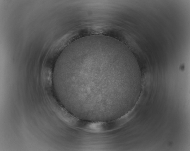 X0000116830178200912181443