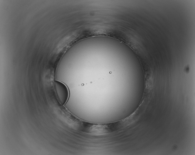 X0000116830179200912181443