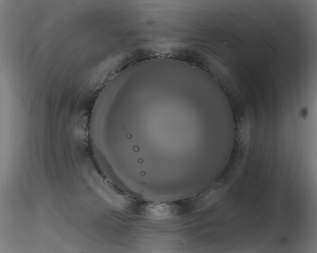 X0000116830181200912181443