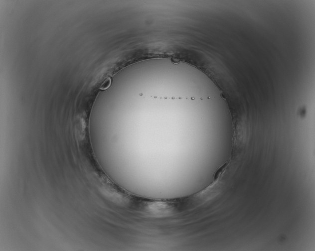X0000116830183200912181443