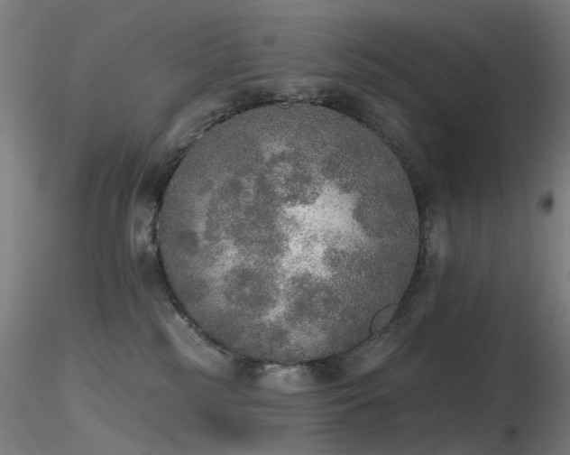 X0000116830185200912181443