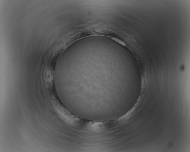 X0000116830186200912181443