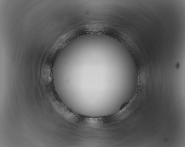 X0000116830187200912181443