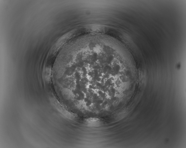 X0000116830189200912181443
