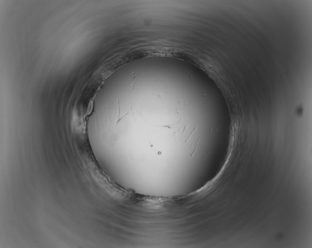 X0000116830190200912181443