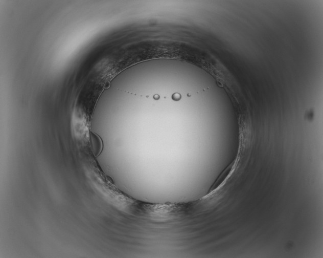 X0000116830191200912181443