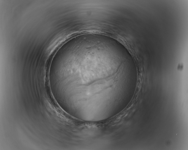 X0000116830194200912181442