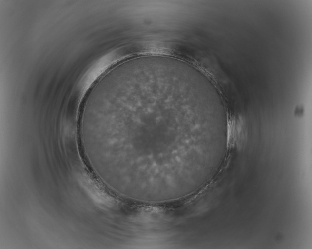 X0000116830195200912181442