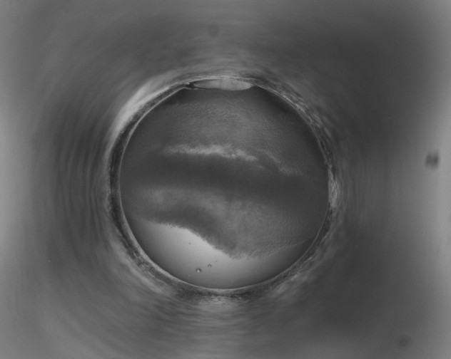 X0000116830198200912181442