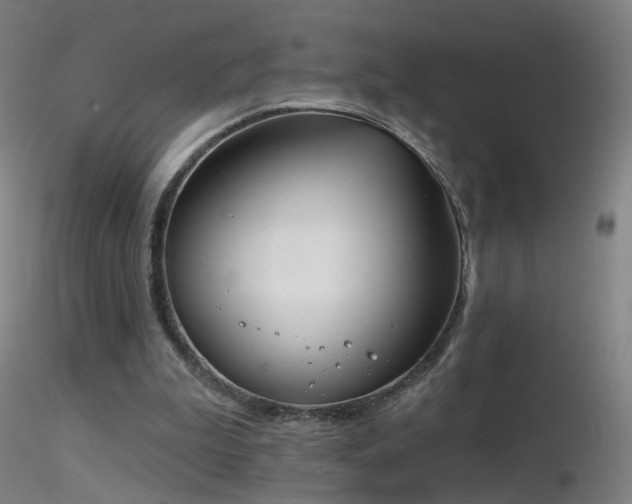 X0000116830199200912181442