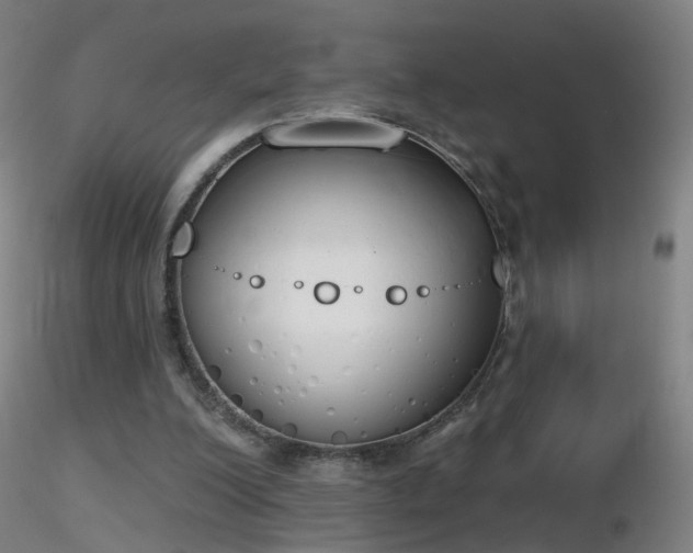 X0000116830200200912181442